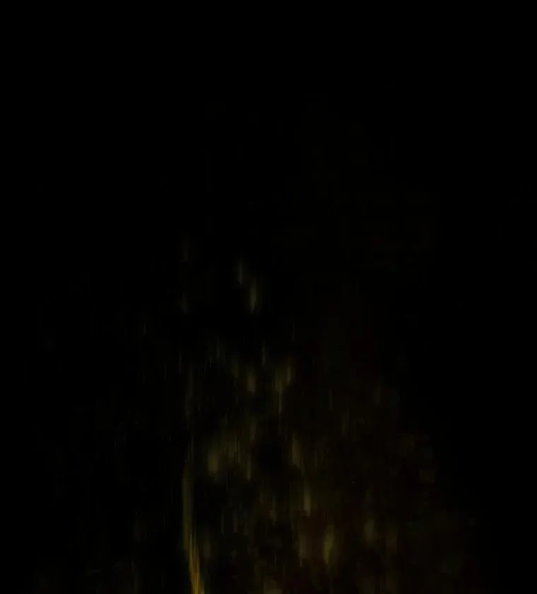 41.瓦伦泰因商团62
