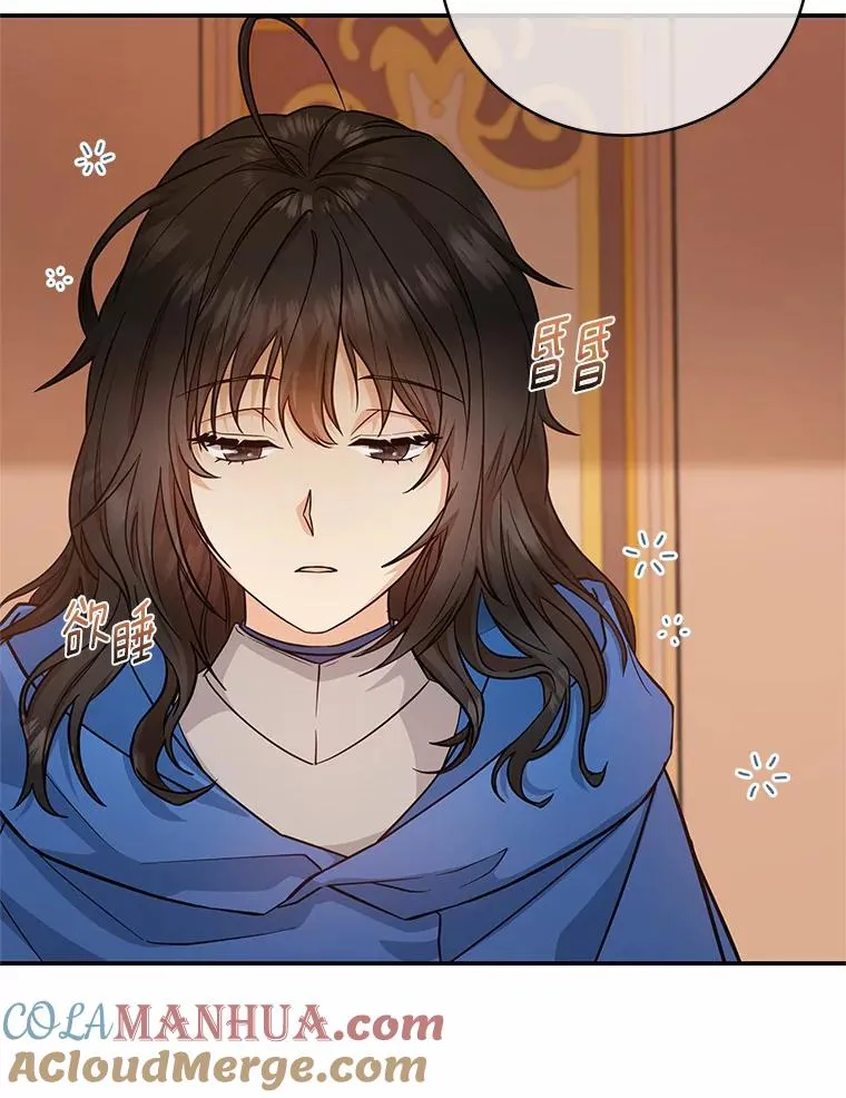 12.护卫骑士108