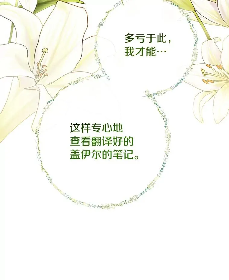 81.盖伊尔的笔记38