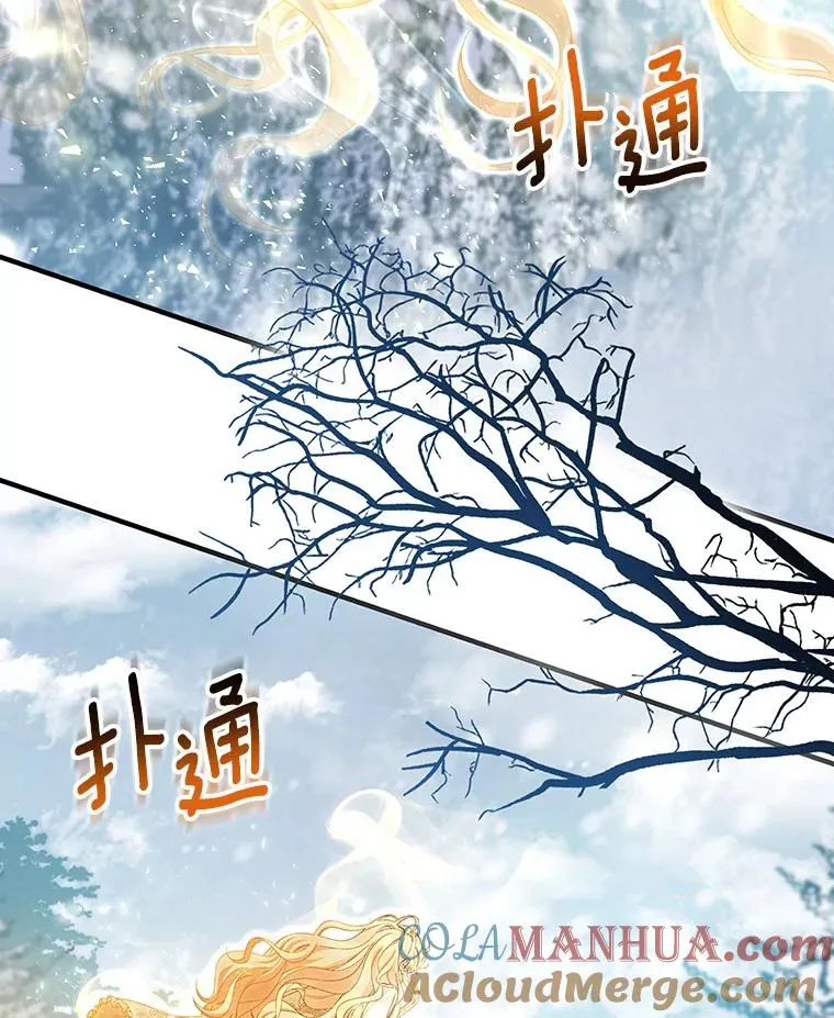 26.万年雪王冠116