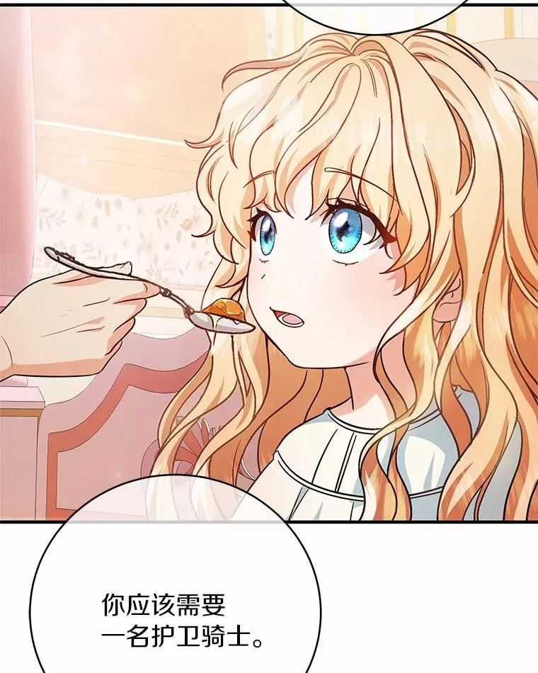 12.护卫骑士86