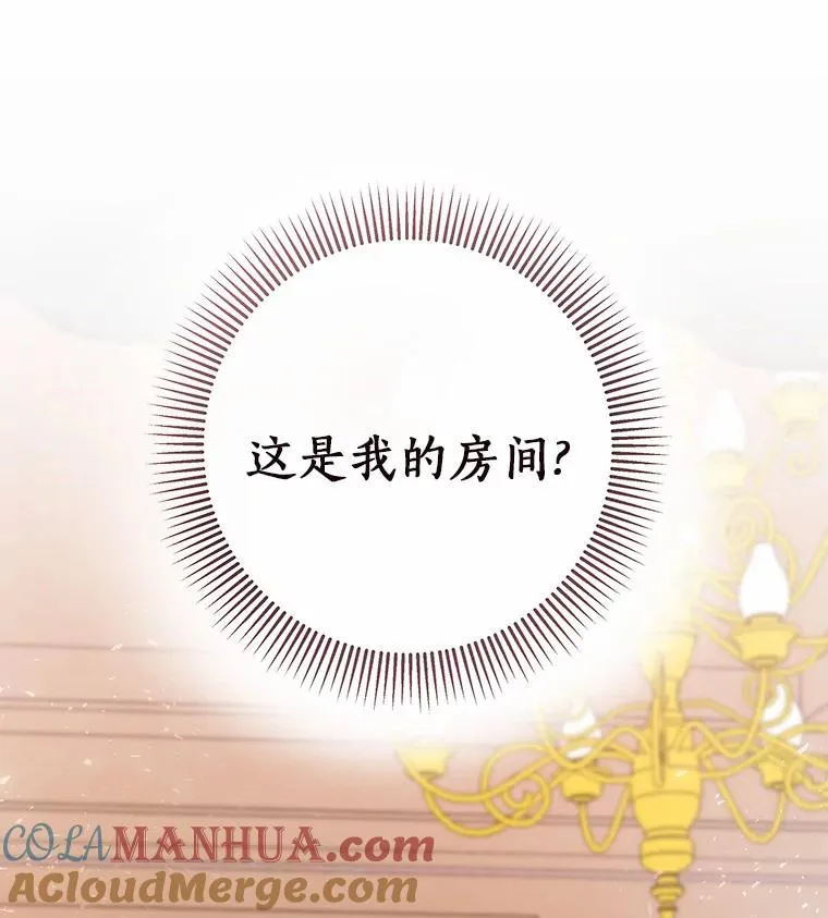 12.护卫骑士24