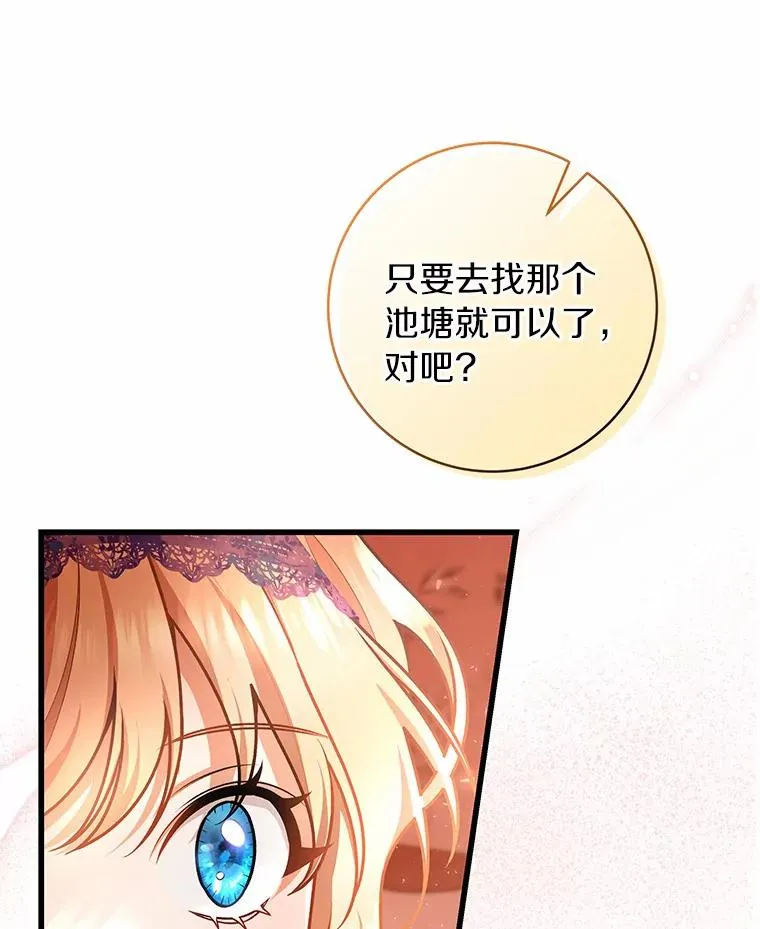 31.信任31