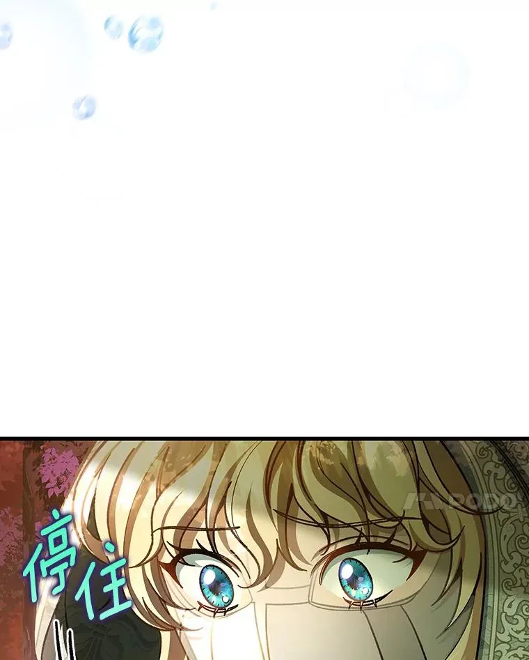 36.冰雪迷林34