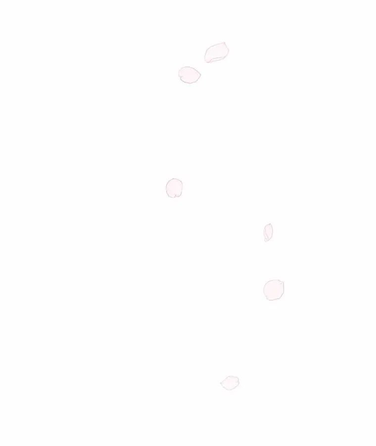 21.再婚147