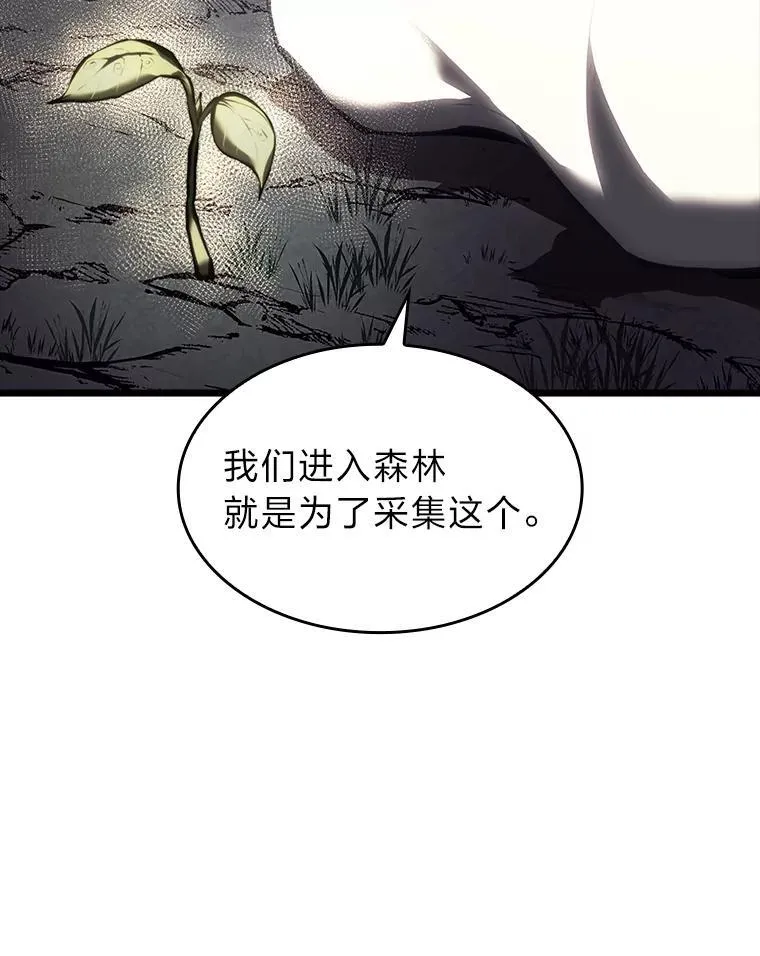 46.世界树之苗79