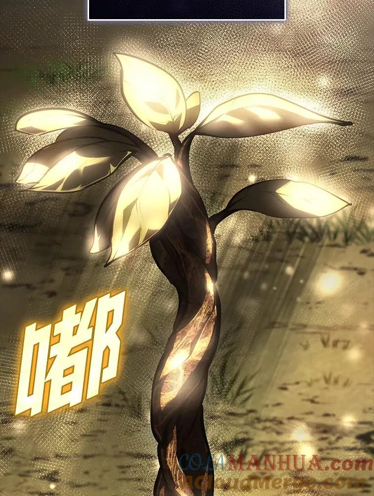 46.世界树之苗124