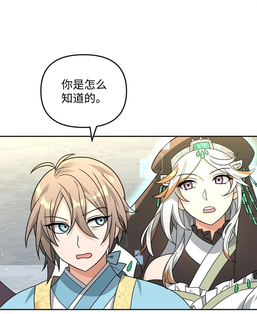 49 点数分配20
