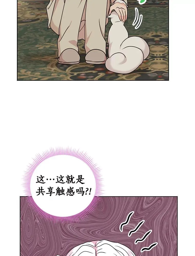 42.狩猎比赛5