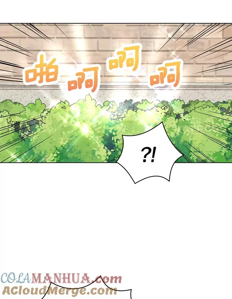 41.神兽九尾狐36