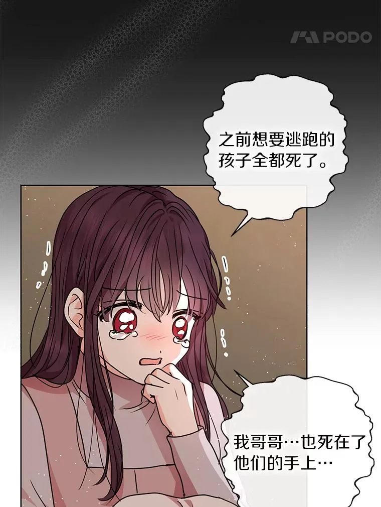20.解救41