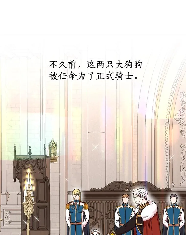 34.8岁的安莎43