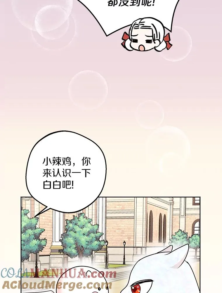 41.神兽九尾狐28