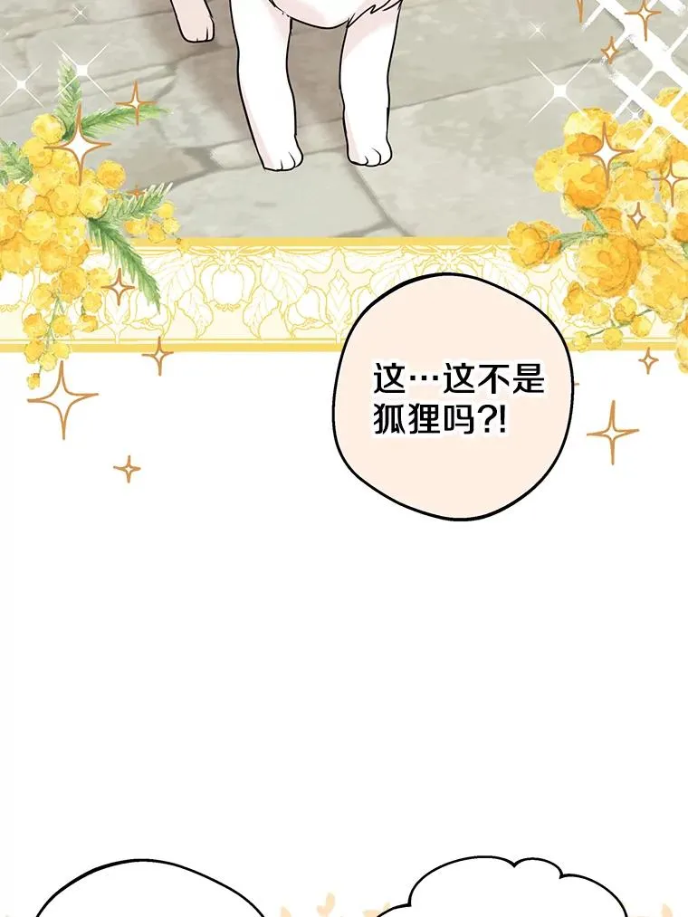 41.神兽九尾狐47