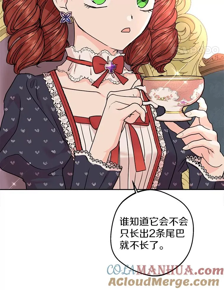 41.神兽九尾狐64