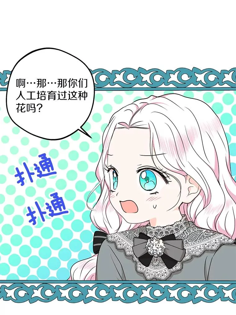 48.新的人生75