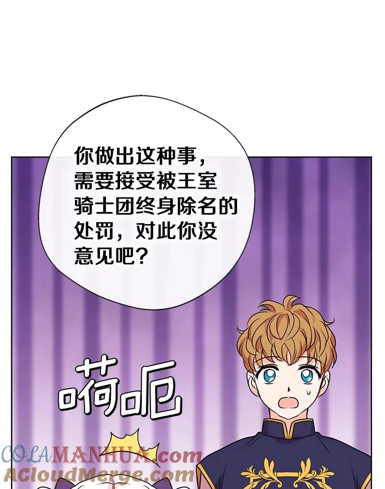 15.忠诚宣誓28