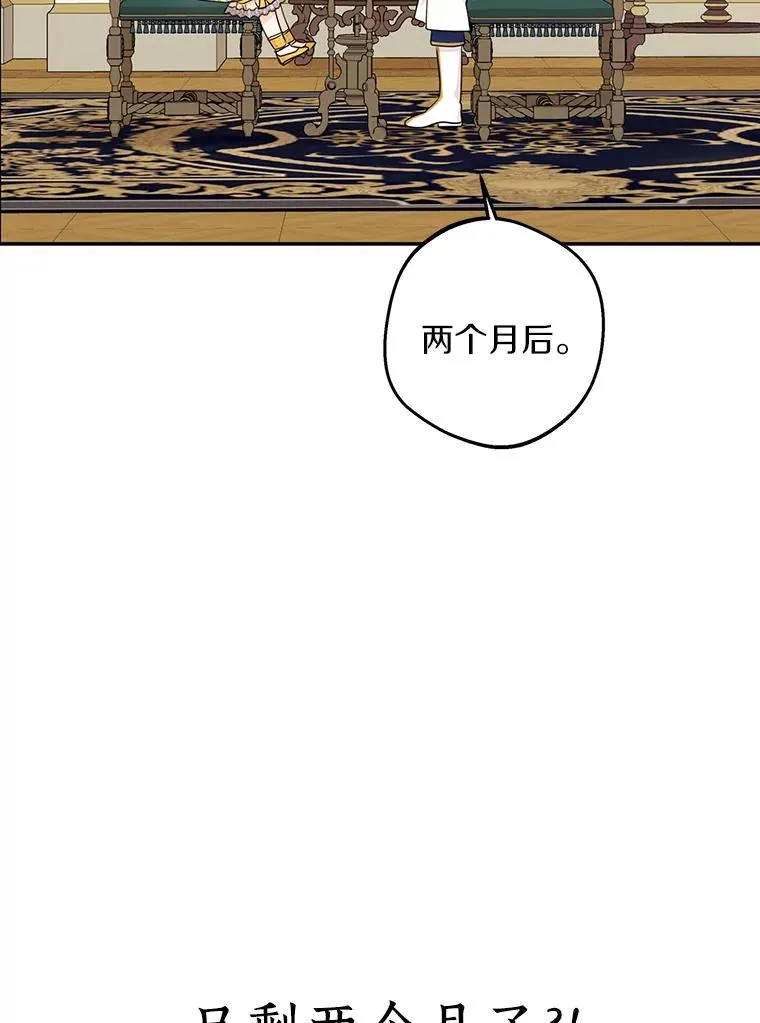 73.新计划11