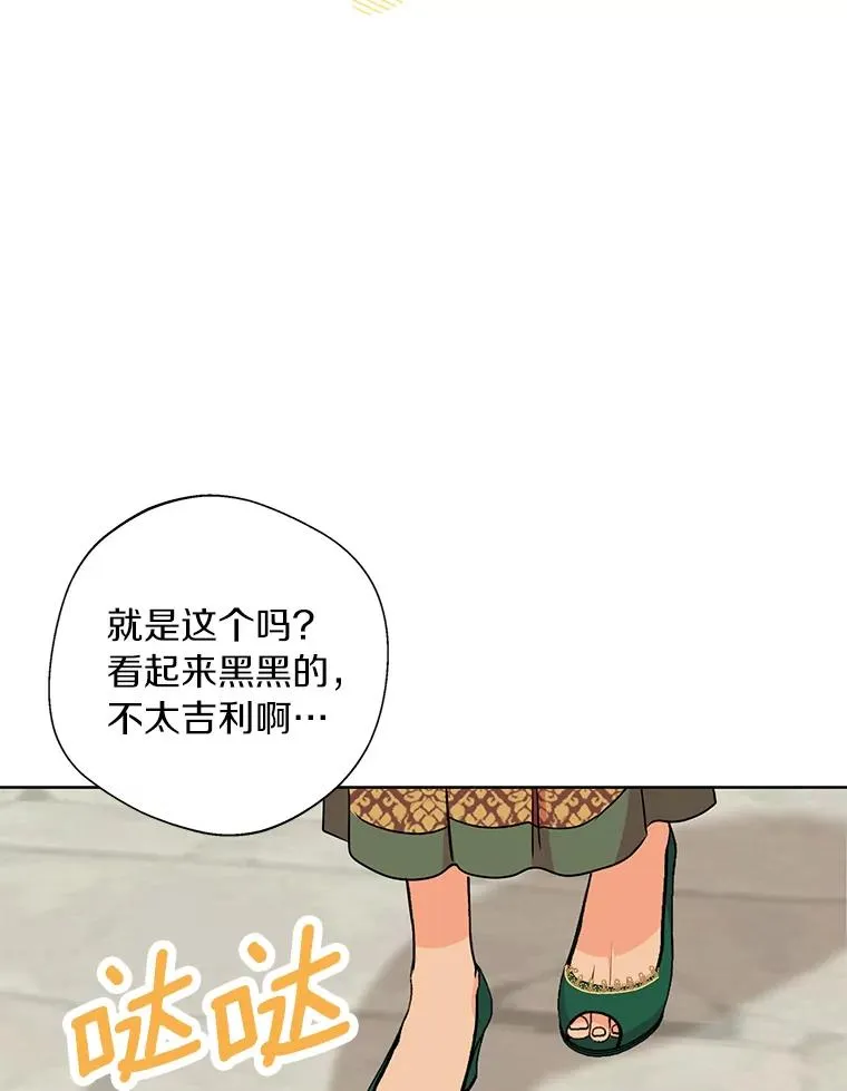 18.新芽庆典101