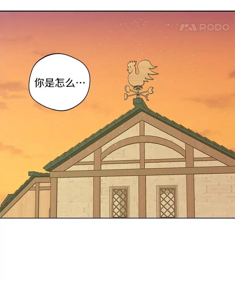 20.解救21