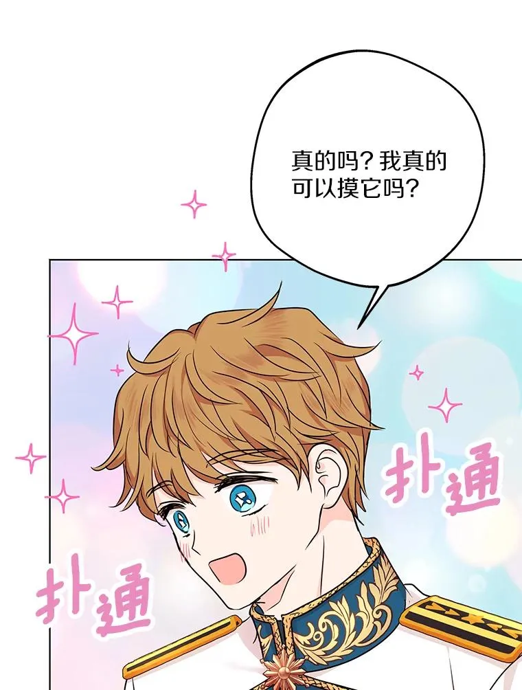 41.神兽九尾狐17