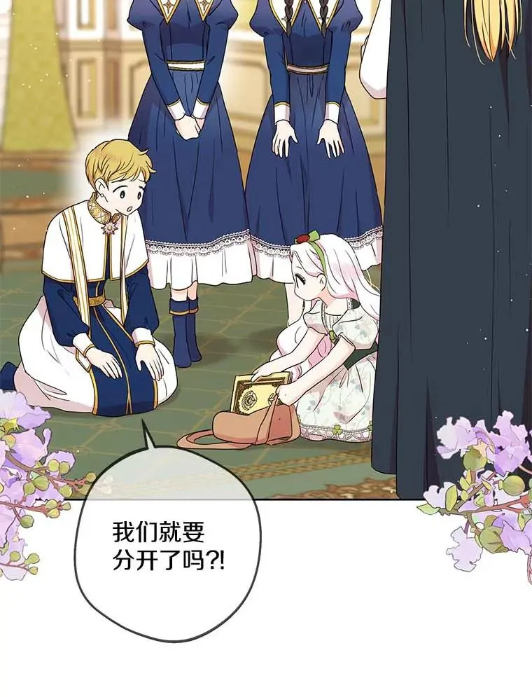 55.拉开序幕1