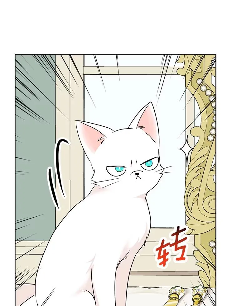 41.神兽九尾狐65