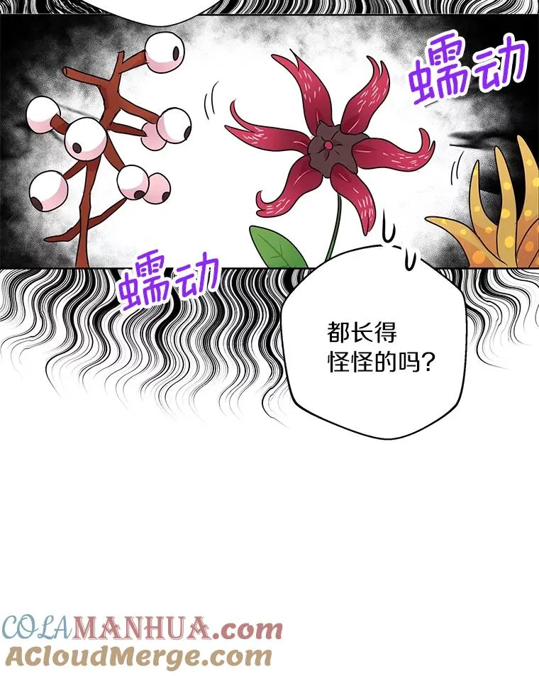 18.新芽庆典88