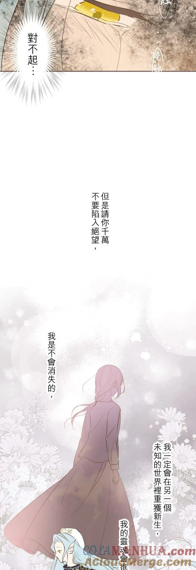 40话 梅萝26
