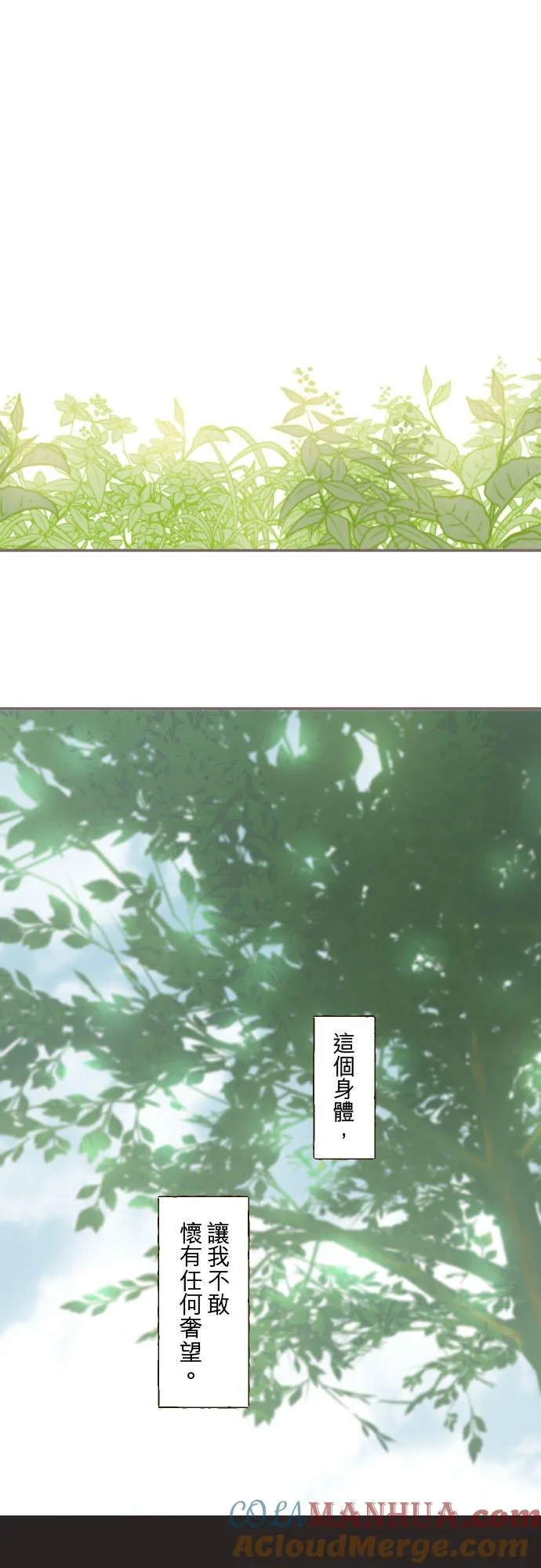 38话 让我看Ⅱ20