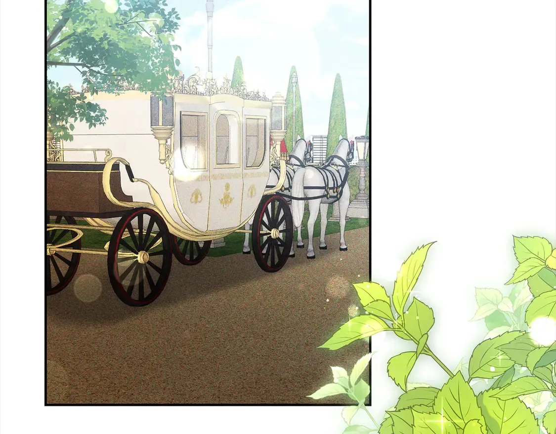 第3话 遇见猫咪公爵？145