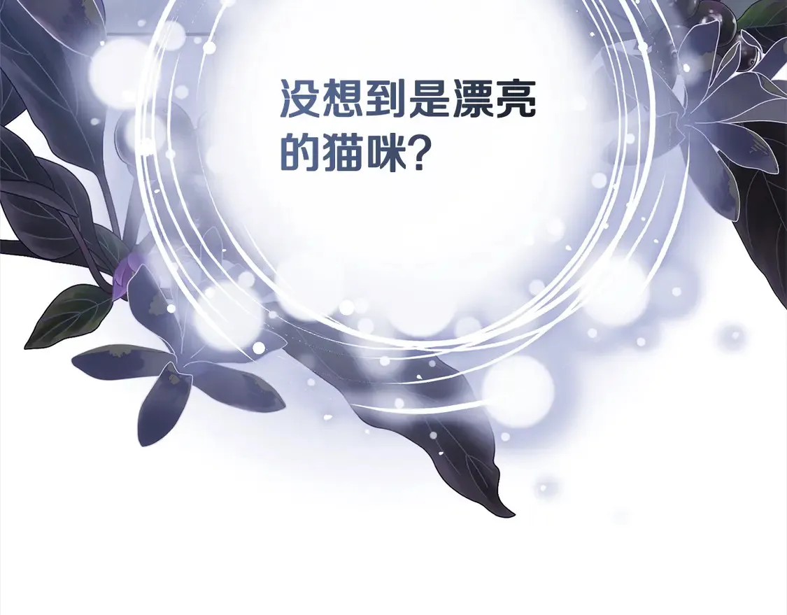 第3话 遇见猫咪公爵？240