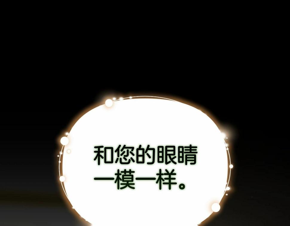 第34话 胸针的秘密120