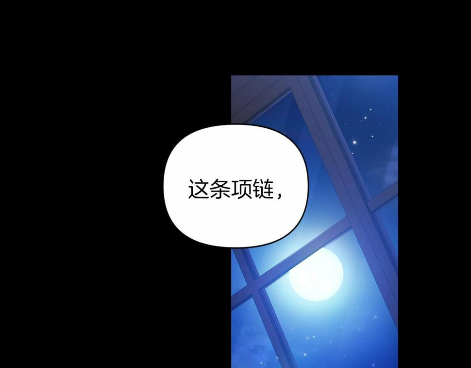 第34话 胸针的秘密118