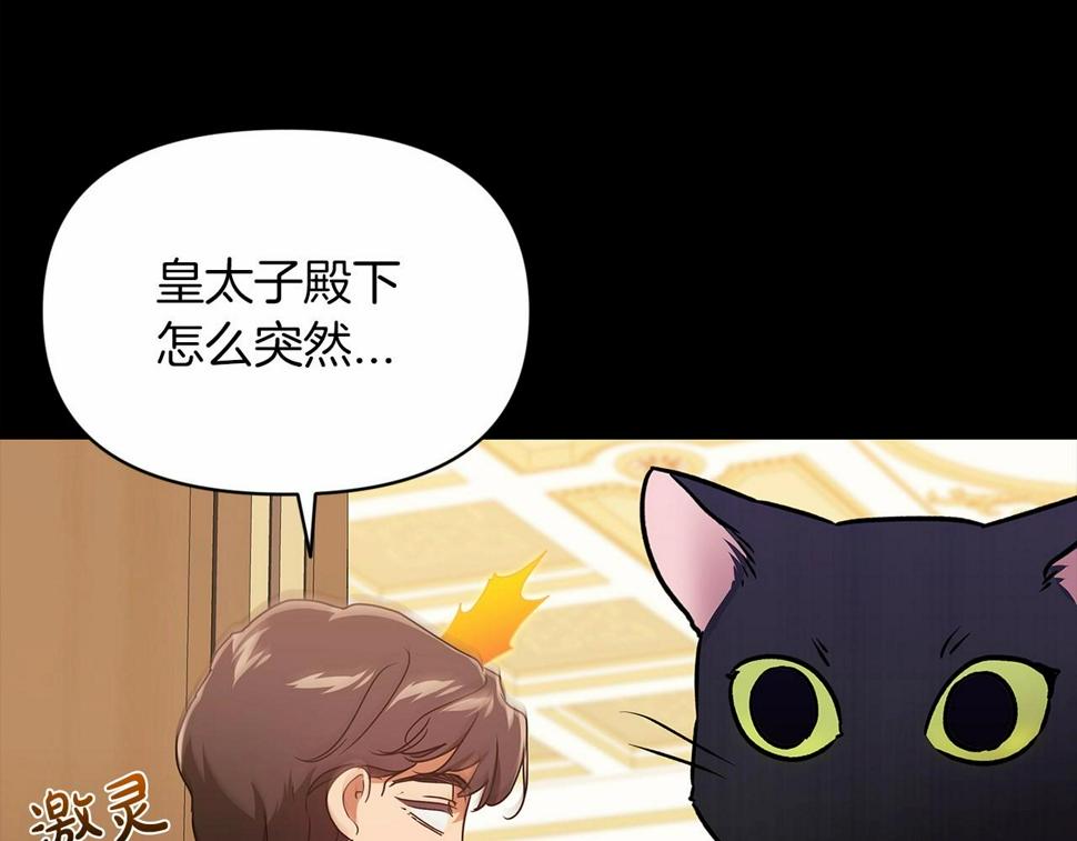 第33话 他是我选的23