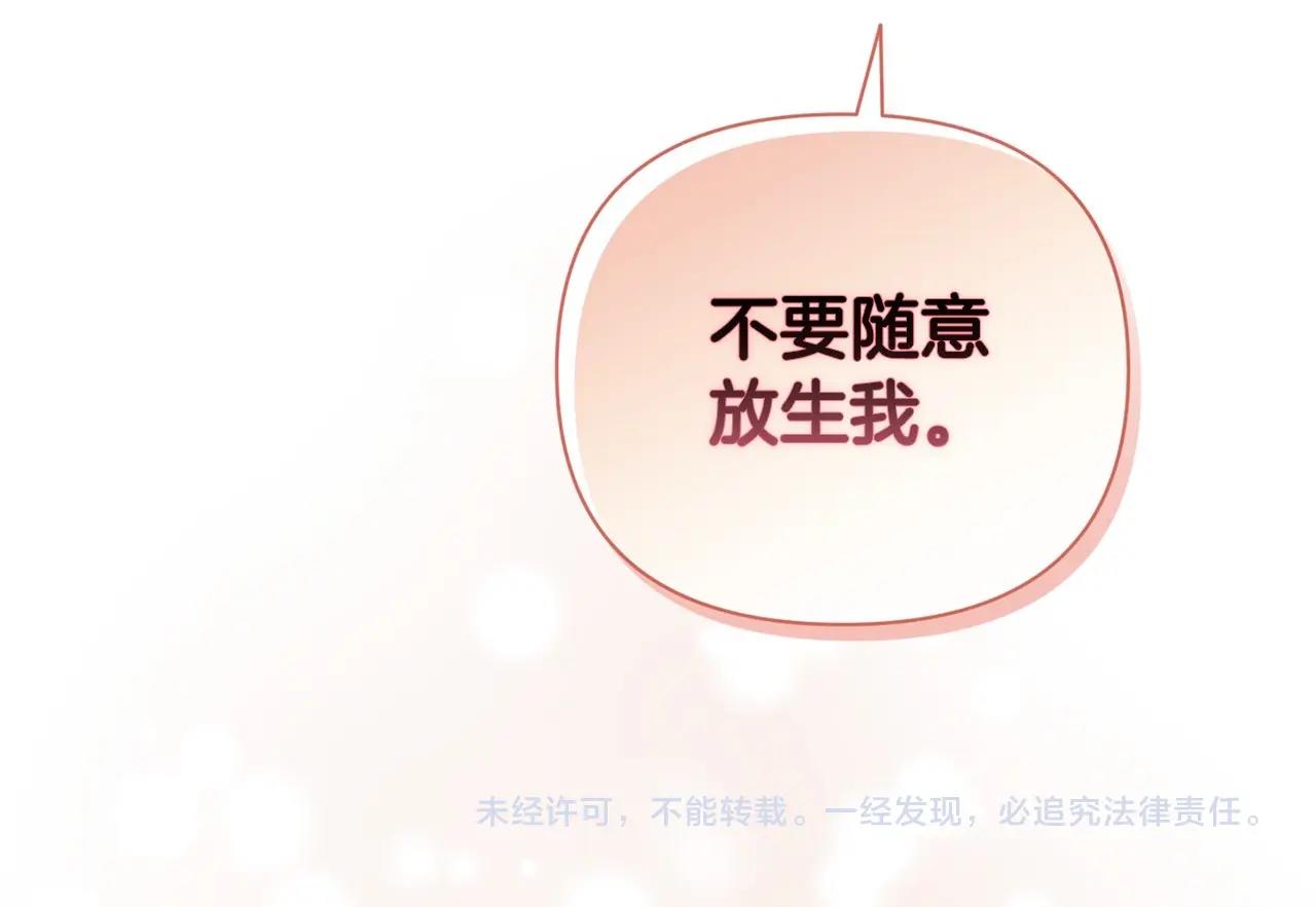 第13话 她说谎时，笑得最美208