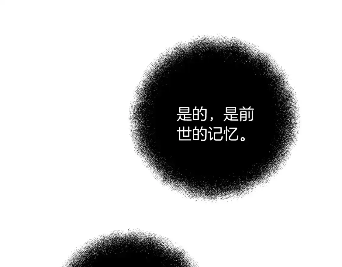 第79话 少爷的前世108
