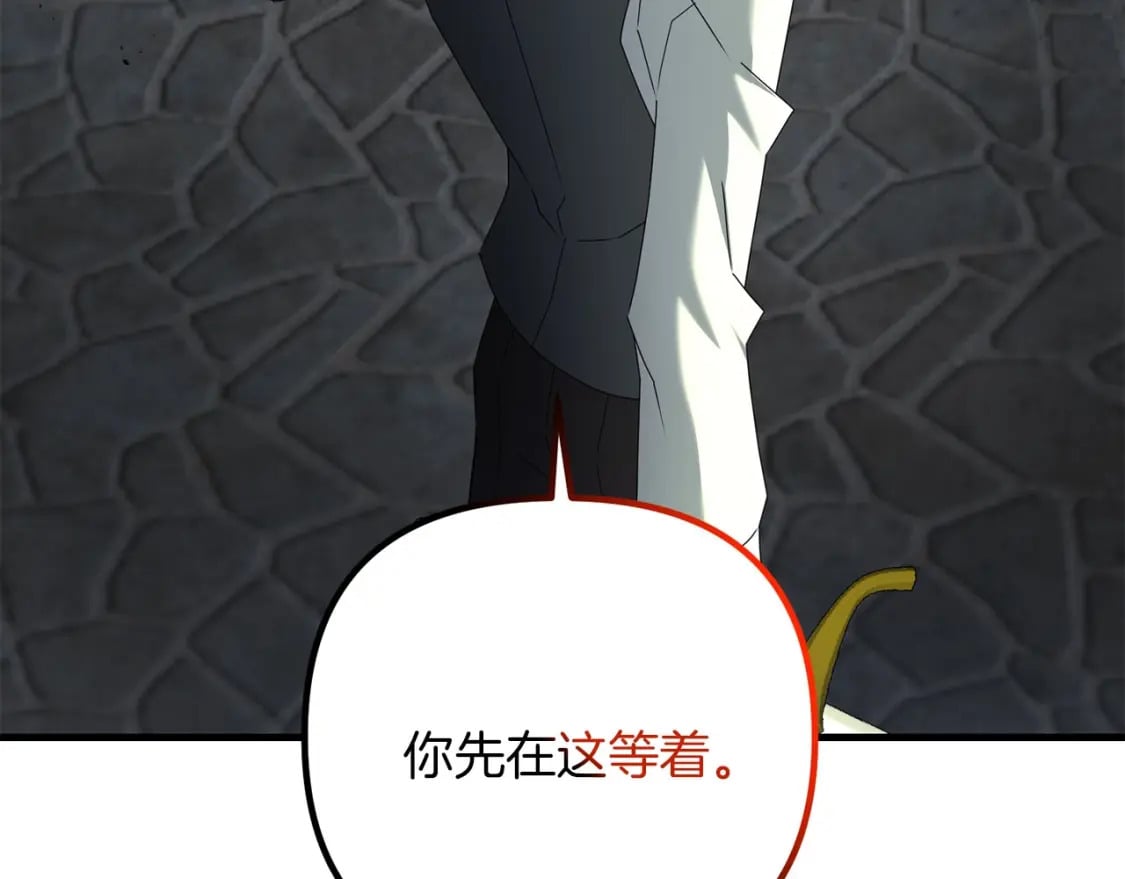 第65话 巨龙亦有差距！209
