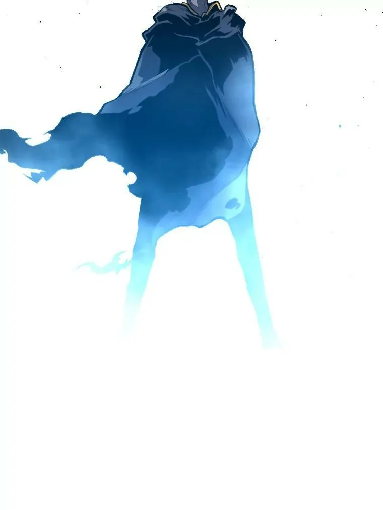 27.闪亮登场114