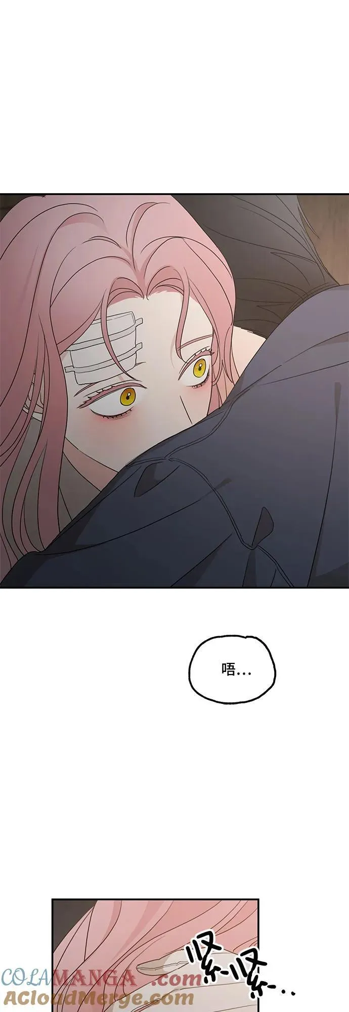 第118话54