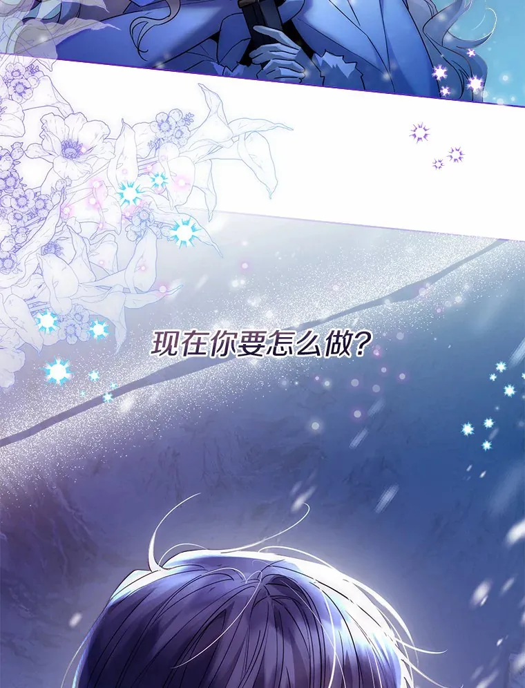 21.我的…雪球…81