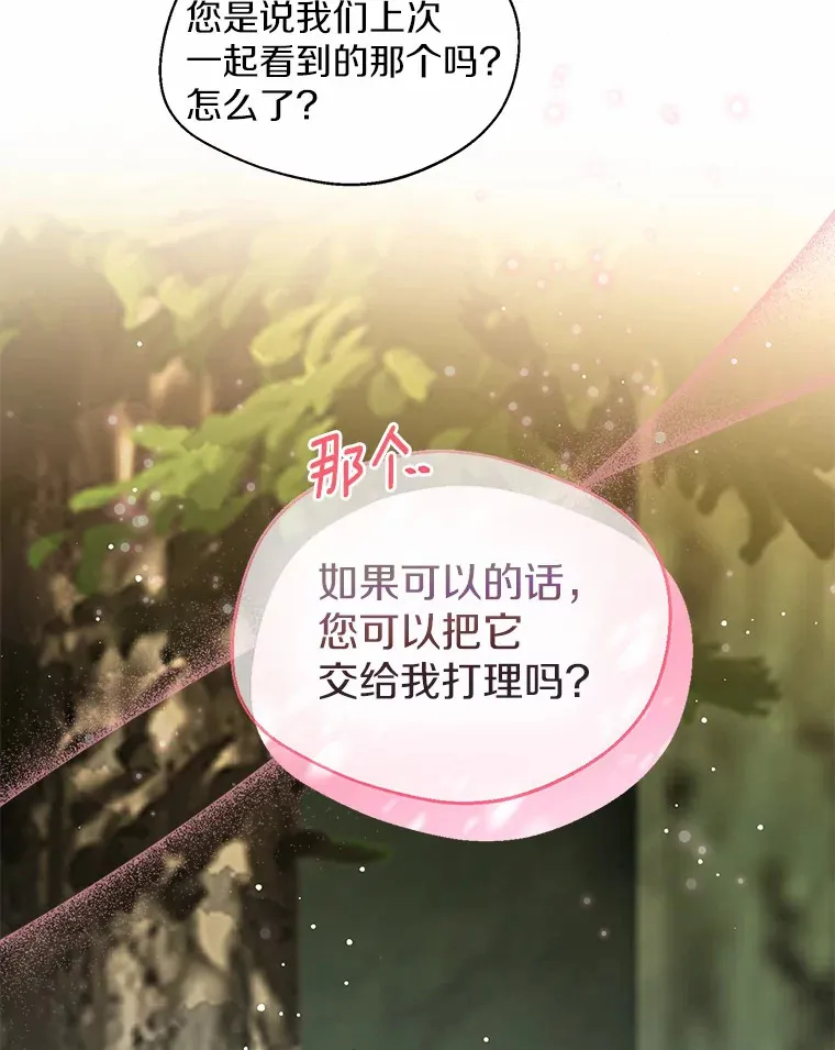 33.打理花园77