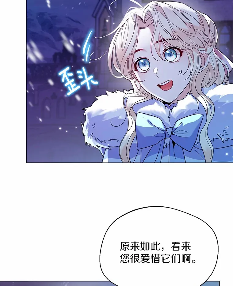 21.我的…雪球…16