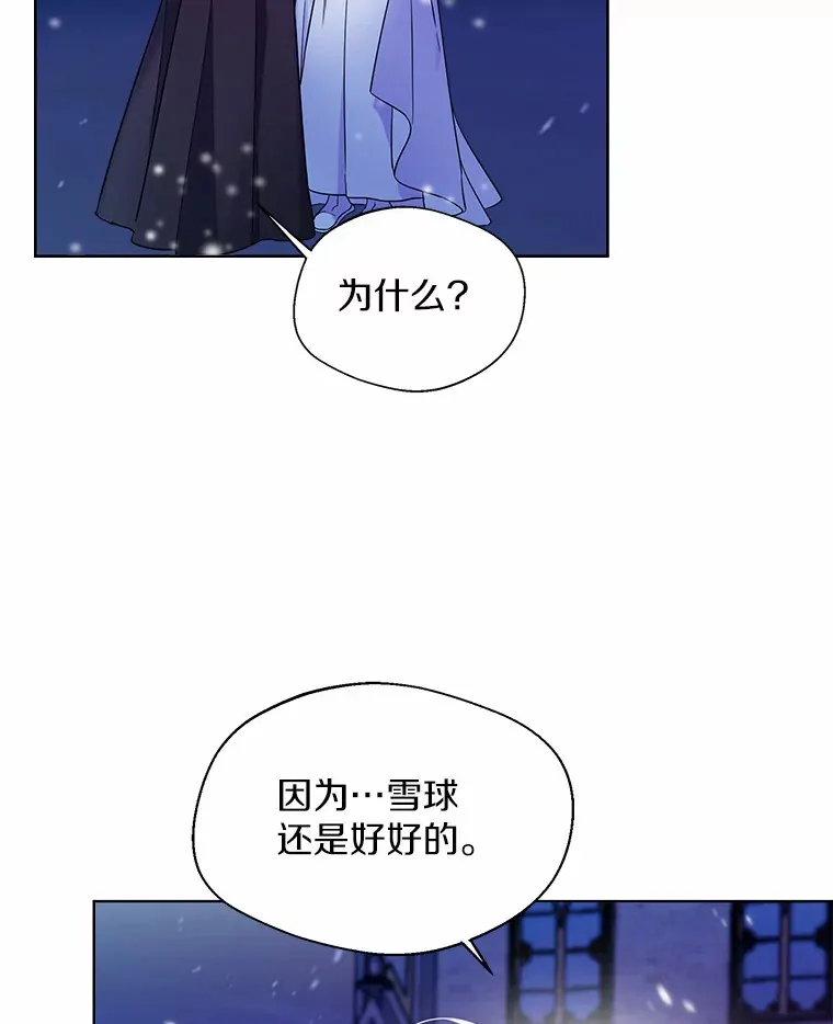 21.我的…雪球…15