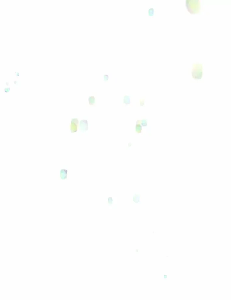 17.善意的谎言7