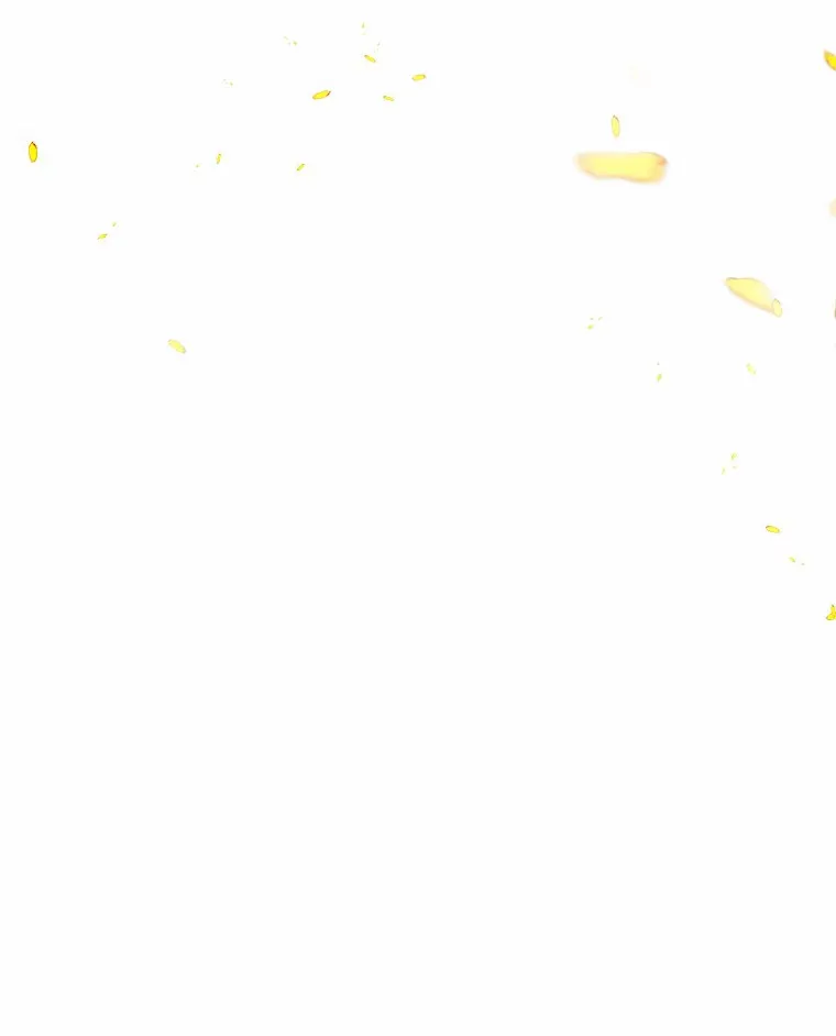 24.担忧98