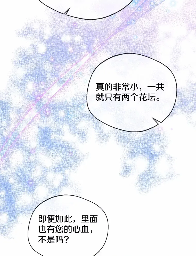 22.曾经的花园61