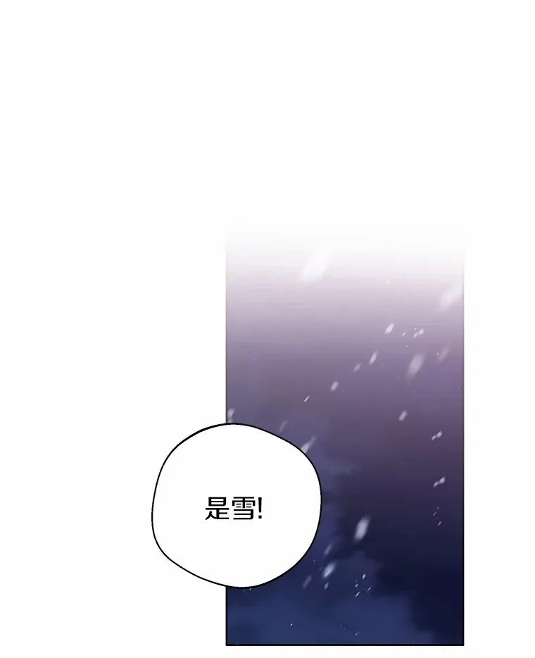 21.我的…雪球…0