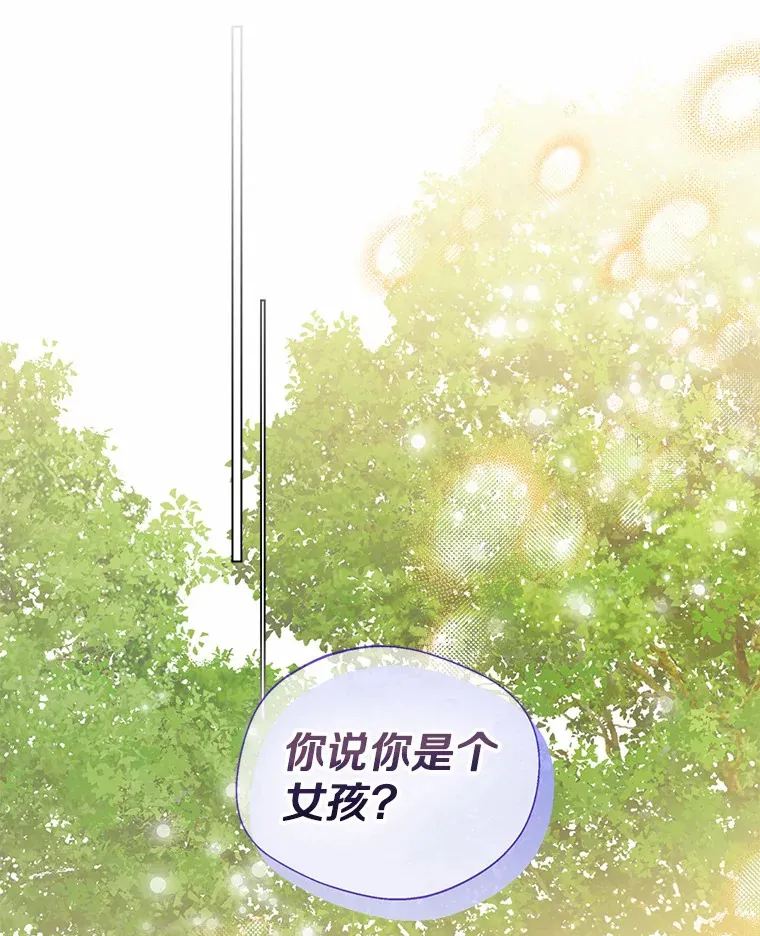 36.吸引11