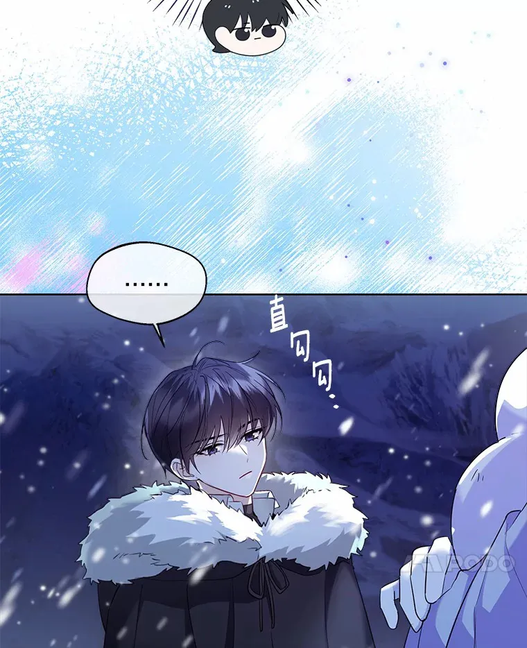 21.我的…雪球…13